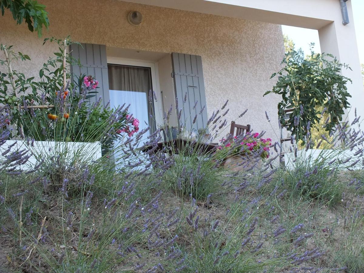 Une Ronce Sous Le Figuier Rousset-les-Vignes Exterior photo