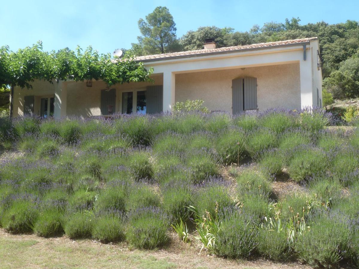 Une Ronce Sous Le Figuier Rousset-les-Vignes Exterior photo