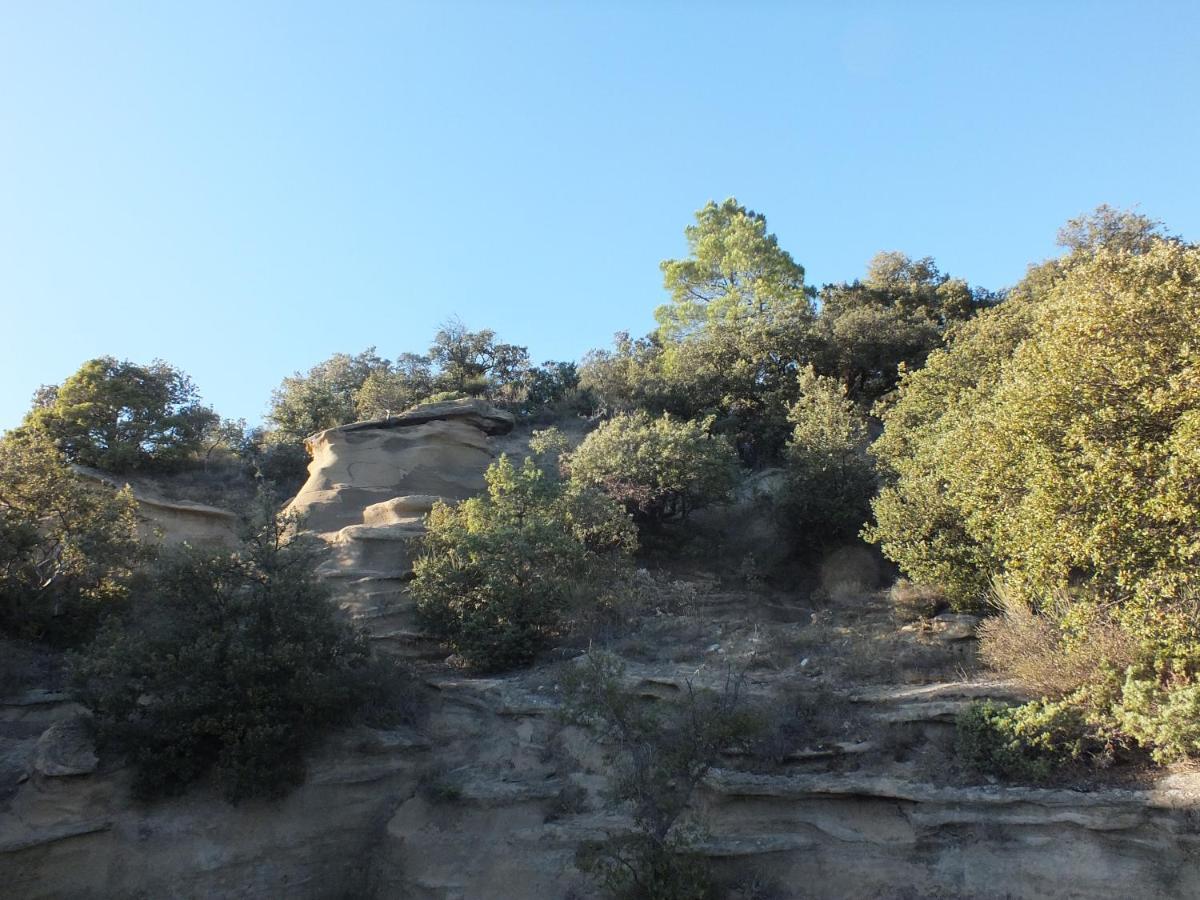 Une Ronce Sous Le Figuier Rousset-les-Vignes Exterior photo